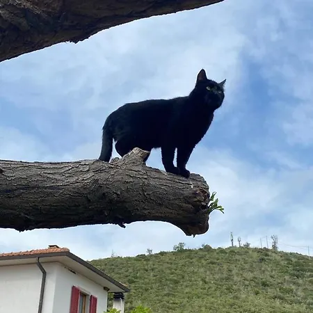 La Casina Di Bice-casa Matilde Ferienhaus *